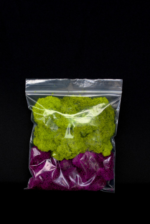 SuperMoss Reindeer Moss - Combo Apple Green & Purple Colors - Ready to Use - 7" x 8" Bag - Main Image