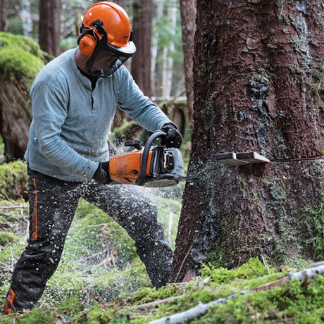 STIHL STIHL-MS462CM-18 MS 462 C-M Chainsaw - 18in Bar - Atlas