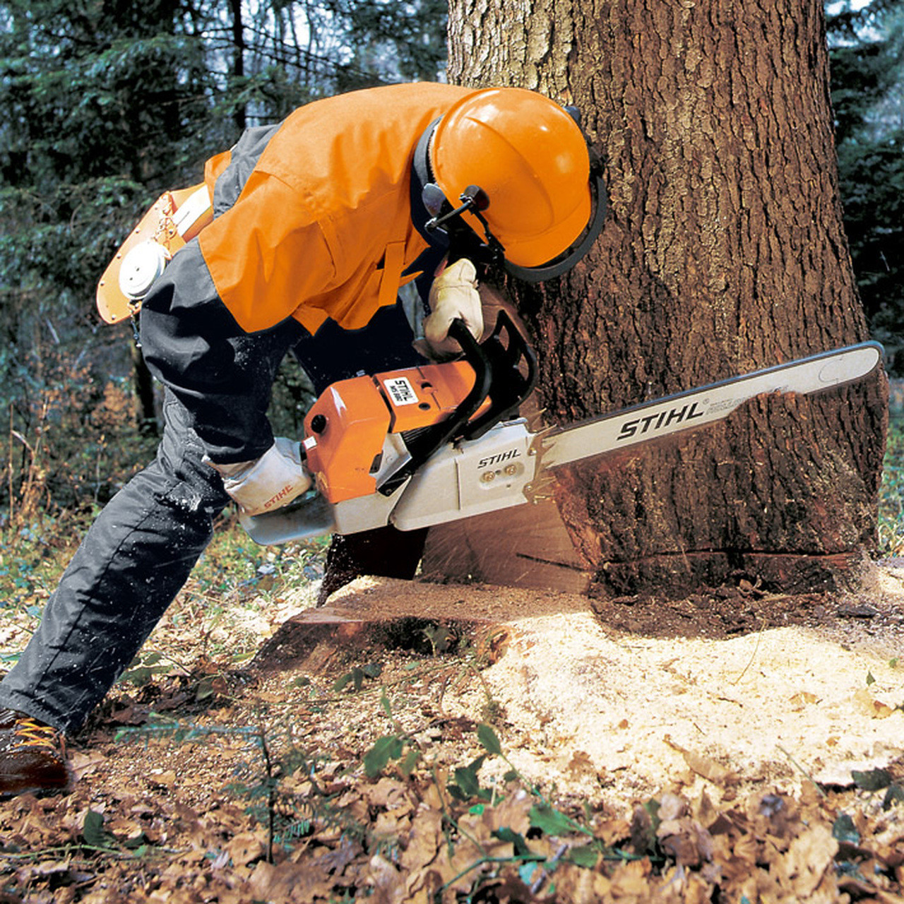 MS 661 C-M Chainsaw, Fuel-Efficient Professional Chainsaw