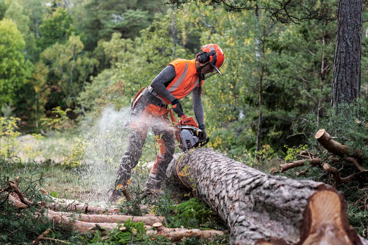 Husqvarna HUSQ-967690818 550 XP Mark II Gas 50.1cc 18in Chainsaw 