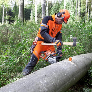 Husqvarna HUSQ-598035902 8in Felling Wedge