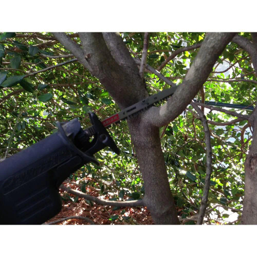 Diablo FRE-DS1205FGC 12in 5TPI Reciprocating Saw Blade for Pruning