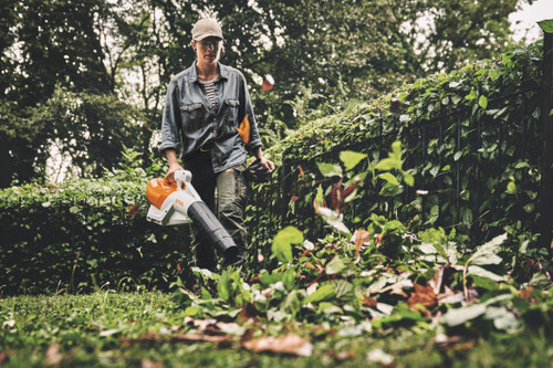 Stihl STIHL-BGA250 AP System