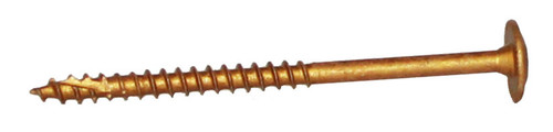 U2 U2-C0810-XX Cap Screw 100 Pack