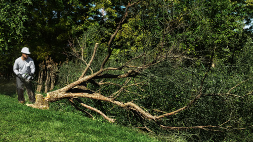 EGO Power EGO-CSX5000 Commercial 20in Chain Saw