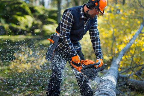 Husqvarna HUSQ-970709038 445S 50.2cc Gas 18in Chainsaw