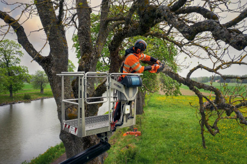 Husqvarna HUSQ-970794114 540 XP Mark III 14in Bar 39.1cc Gas Chainsaw