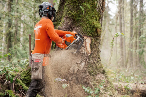 Husqvarna HUSQ-970493142 592 XP Gas 90cc 32in Chainsaw