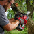 Milwaukee MIL-2527-21 M12 Fuel HATCHET Pruning Saw 4.0Ah Kit