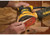 DEWALT DEW-DWE6421 5in Random Orbit Sander Hook & Loop