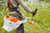 Stihl STIHL-FSA135 FSA 135 Battery Brushcutter Bare Tool
