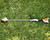 STIHL FSA 57 Battery Trimmer in use