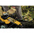 DEWALT DEW-DCCS670X1 60V FLEXVOLT MAX Brushless Chainsaw Kit