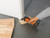 Fein Canada FEIN-71293662090 MultiMaster AMM 700 Max AS Cordless Oscillating Multi-Tool Kit
