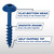 Kreg KREG-SML-C2B-50 Coarse Thread Maxi-Loc Head 2in Blue Kote Pocket Hole Screws 50 Count