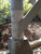 Simpson SIM-STB2-50XX Strong Bolt 2 Wedge Anchor