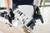 Festool FES-577664 Cordless Track Saw TSC 55 5,0 KEBI-F-Plus-FS