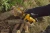 DEWALT DEW-DCCS621B 20V 12in Chainsaw Bare Tool
