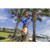Stihl STIHL-HTA135-AP300S HTA 135 10in Cordless Pole Pruner + AP300S Battery
