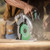 Metabo HPT HPT-C3607DBQ4M 36V MultiVolt 7-1/4in Circular Saw with Torque Boost Technology Bare Tool