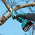 Makita MAK-DUP181Z 18V LXT Brushless Pruning Shears Bare Tool
