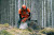 Husqvarna HUSQ-581626972 X-CUT C85 72DL 20in Chain 3/8in .058 guage