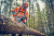 Husqvarna HUSQ-970696640 562 XP G Mark II Gas 60cc 20in Chainsaw