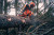 Husqvarna HUSQ-970493142 592 XP Gas 90cc 32in Chainsaw