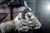 Metabo MET-603629420 WP 13-125 Quick 4-1/2in Angle Grinder