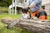 STIHL STIHL-MSA220C-18 MSA 220 C-B 36V Brushless 18in Battery Chainsaw Bare Tool