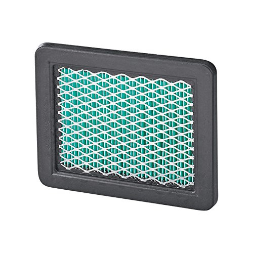 Honda Power Equipment HON-17211ZL8023 Air Filter - HRS2164, HRR2169