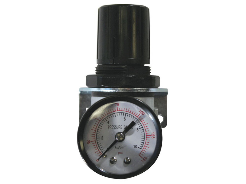 Bissett BIS-BFIT-AR14 1/4in Female FNPT Mini Air Reg With gauge
