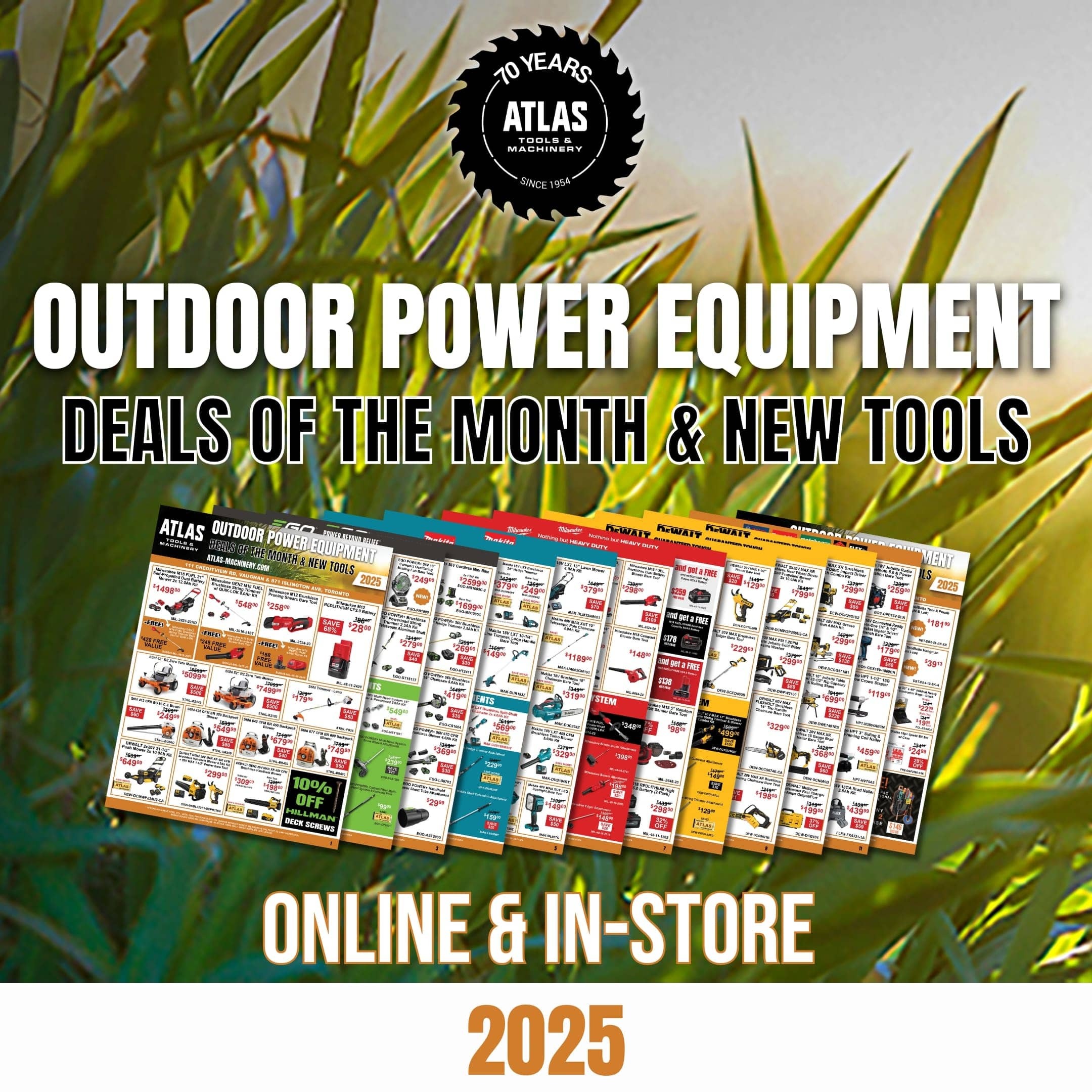 Promotional Banner