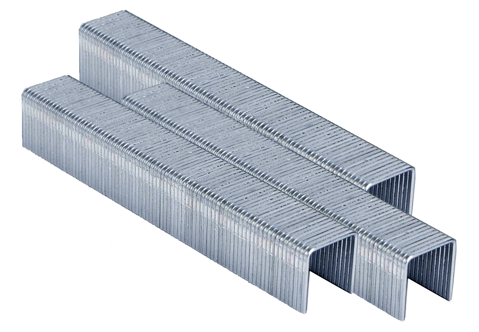 Bissett BIS-BF-FXX F Series Galvanized Staples