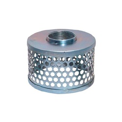 Buchanan BUC-SR-200-SP Round Hole Strainer 2in FIP Steel