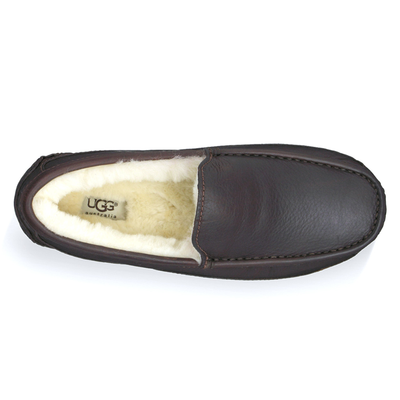 ugg ascot china tea