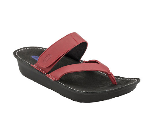  - Shop now @ Shoolu.com