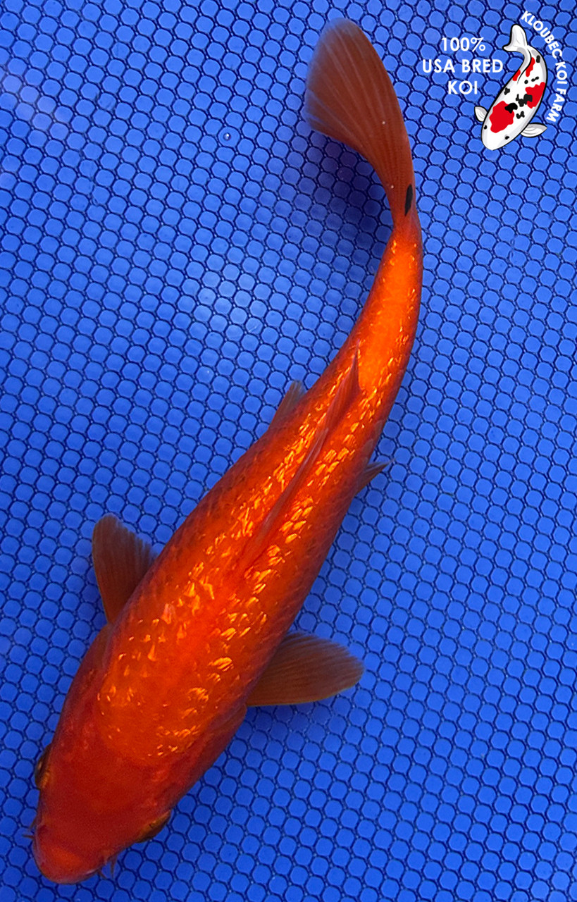 8.5