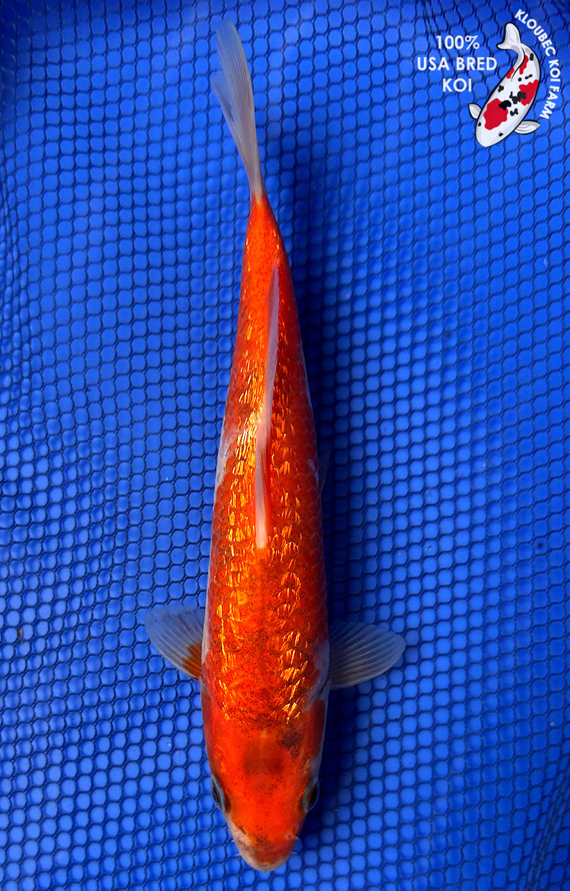 7.5