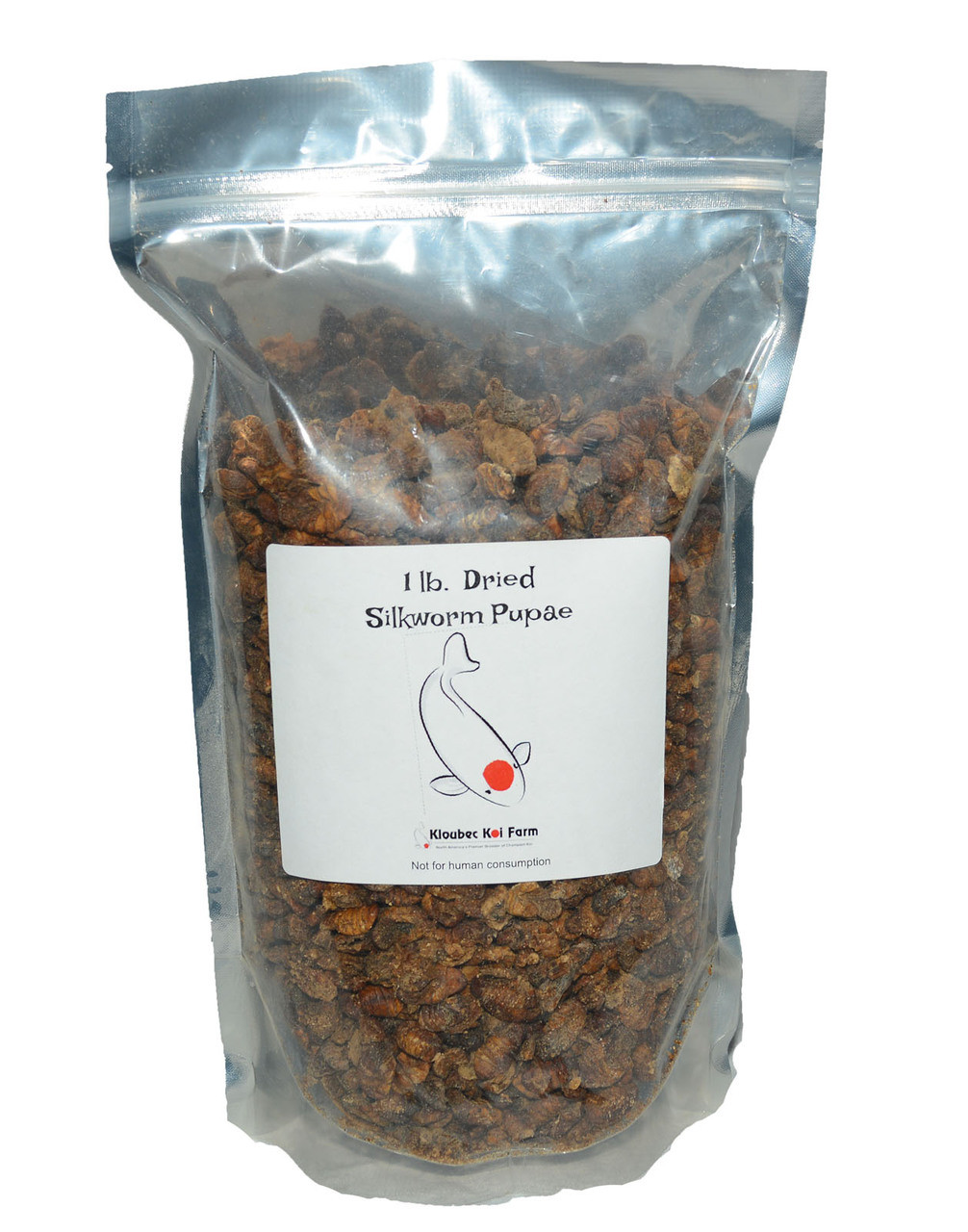 Dried Silk Worm Pupae for Sale Premium Koi Food Treats