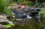 Koi Pond Plants That Enhance Water Quality