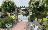 Koi Pond Water Changes: A Simple Guide to What-To-Do and What-Not-To-Do