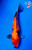 13" Sanke Koi (#K3191S1)