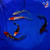 (5) 5-6" Butterfly Koi Pond Pack (#L0553H1)