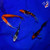 (5) 5-6" Butterfly Koi Pond Pack (#L0627H9)