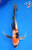 11" Showa Butterfly Koi #L2292(X36)
