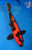 12" Hi Utsuri Koi #L2363(M16)