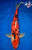 15" Doitsu Sanke Koi #L2630(M17)
