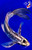 10" Kumonryu Butterfly Koi #J12817(X27)