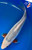 15" Asagi Koi  #K11121(M16)  